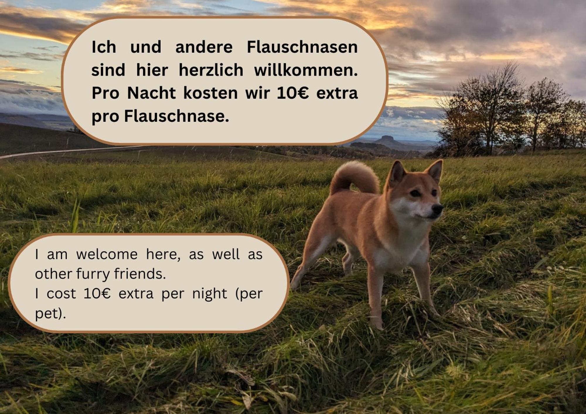 Appartamento S2 - Urlaubsmagie - Am Wanderweg Mit Terrasse Sebnitz Esterno foto
